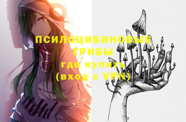 гидропоника Няндома